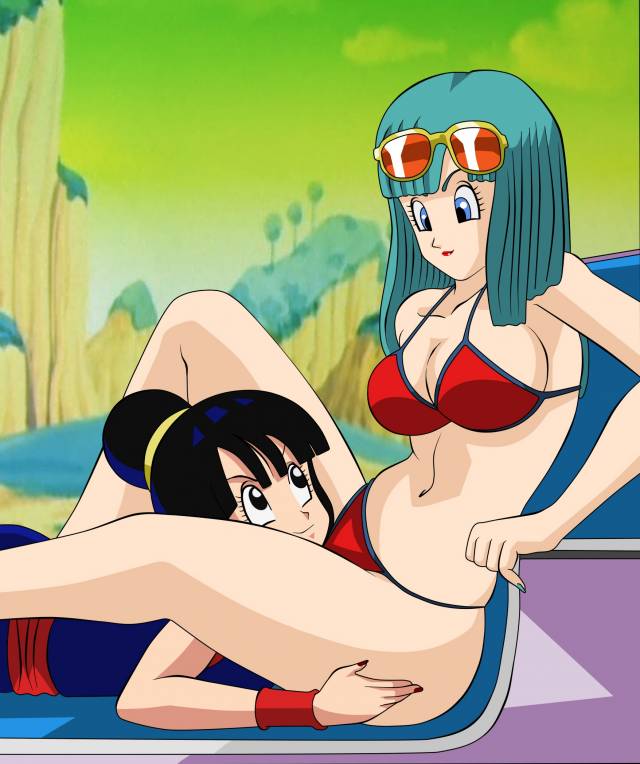 bulma briefs+chichi