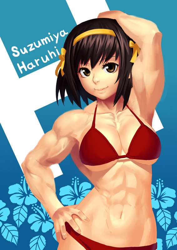 suzumiya haruhi