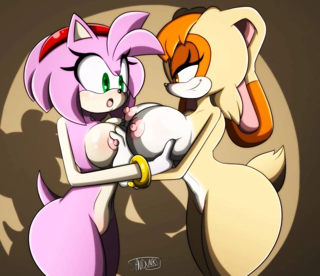 amy rose+vanilla the rabbit
