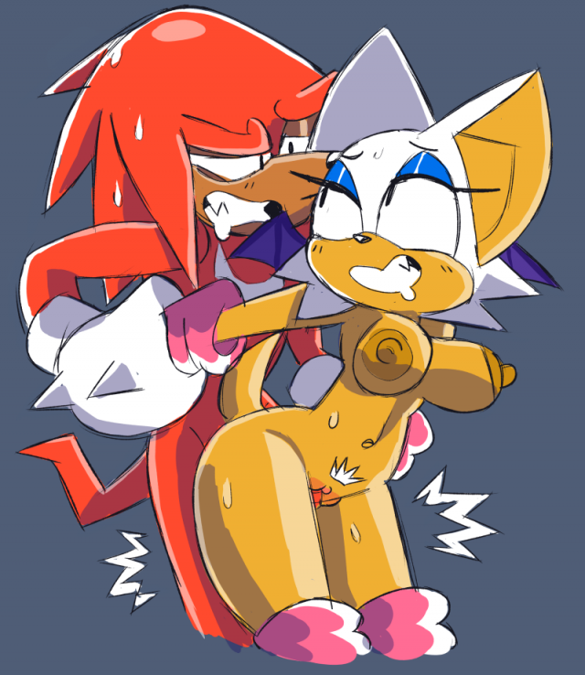 knuckles the echidna+rouge the bat